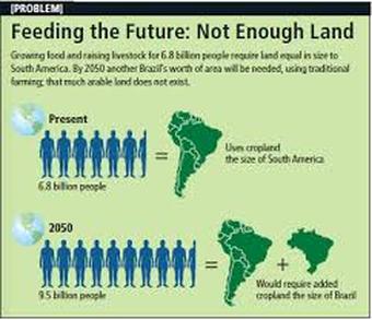 food shortages population cropland comparing feed required future current